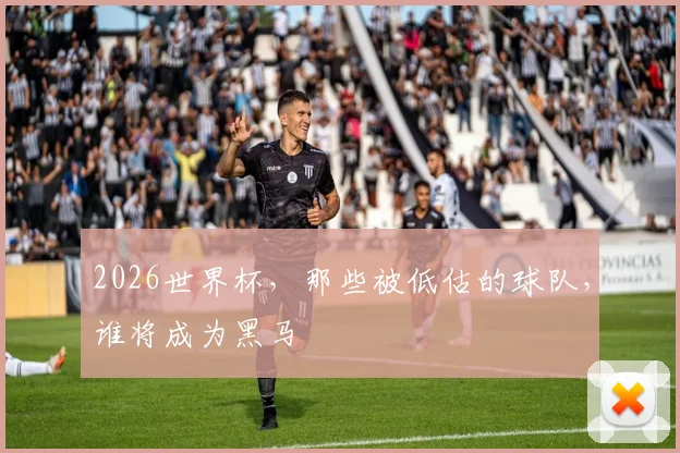 2026世界杯,那些被低估的球队,谁将成为黑马